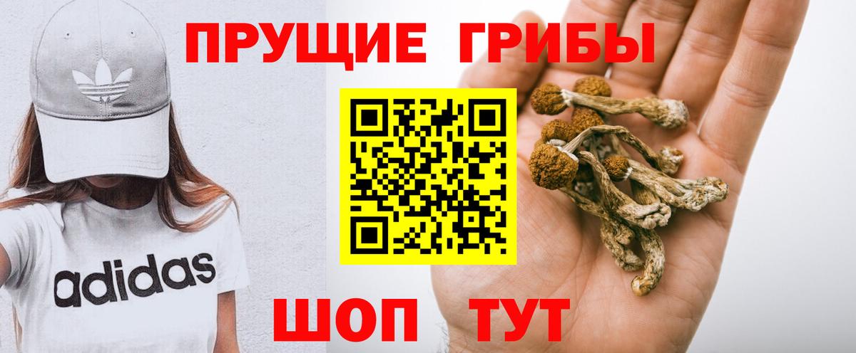 Галлюциногенные грибы GOLDEN TEACHER  Вход с VPN  Псилоцибиновые грибы ЛСД  Вязьма 